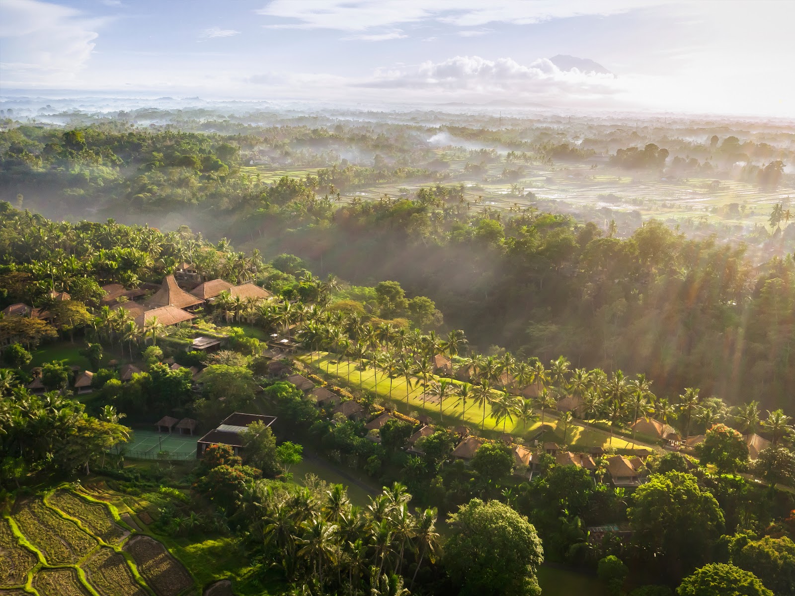 Misty jungle valley in Ubud, home to the best family friendly hotels in Ubud