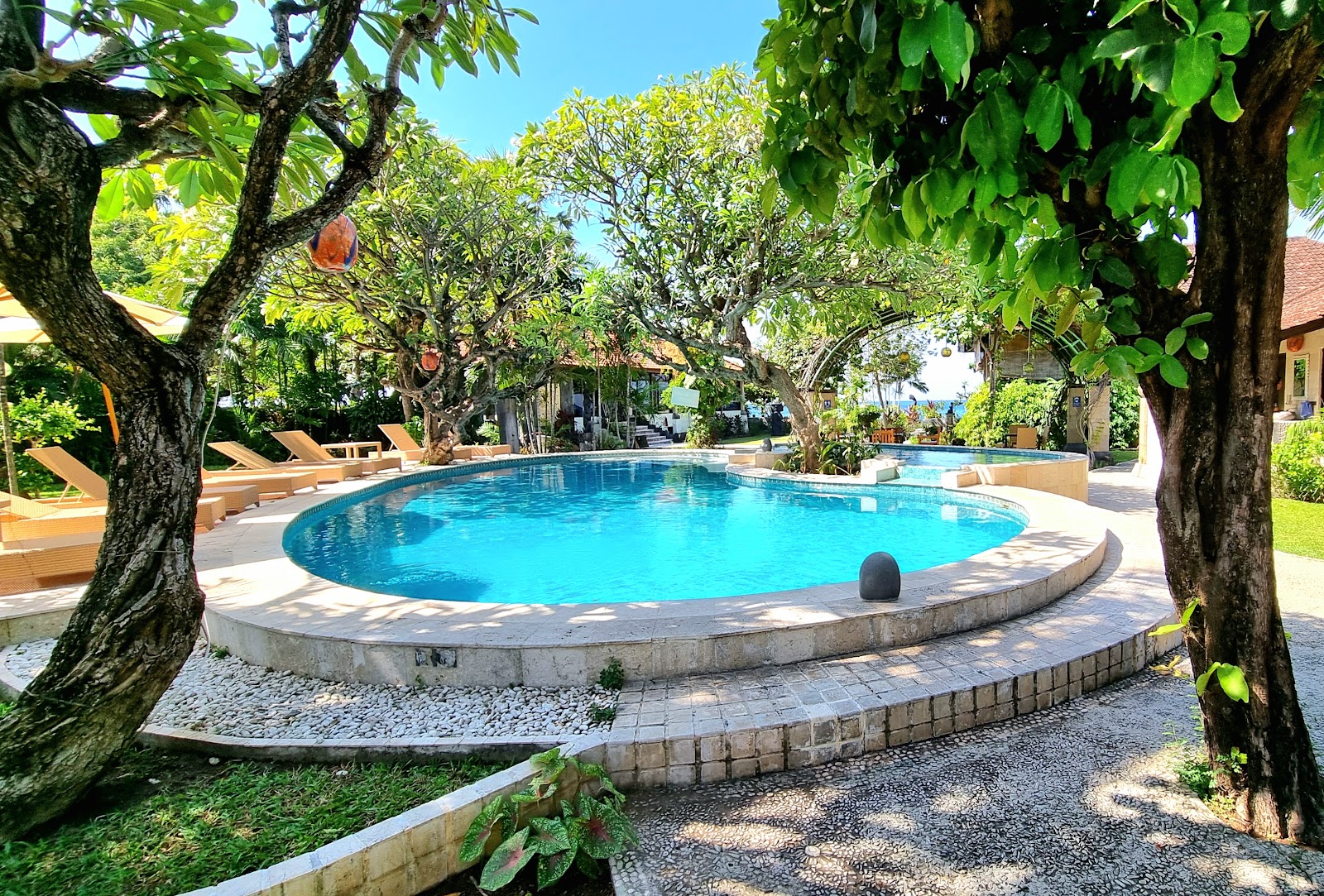 Swimming pool surrounded by tropical gardens at Hidden Paradise Cottages