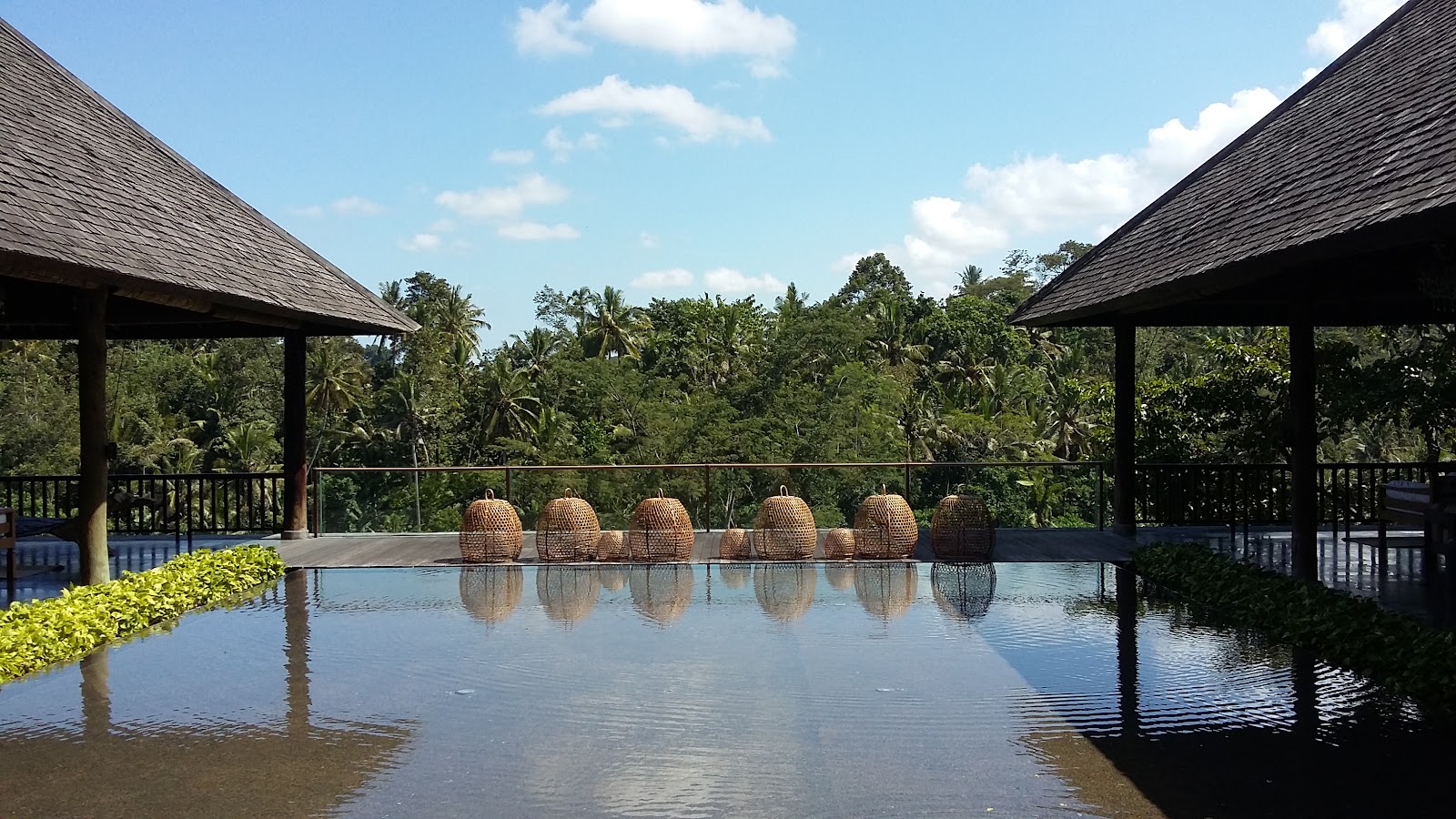 Komaneka at Bisma infinity pool, one of the best family friendly hotels in Ubud