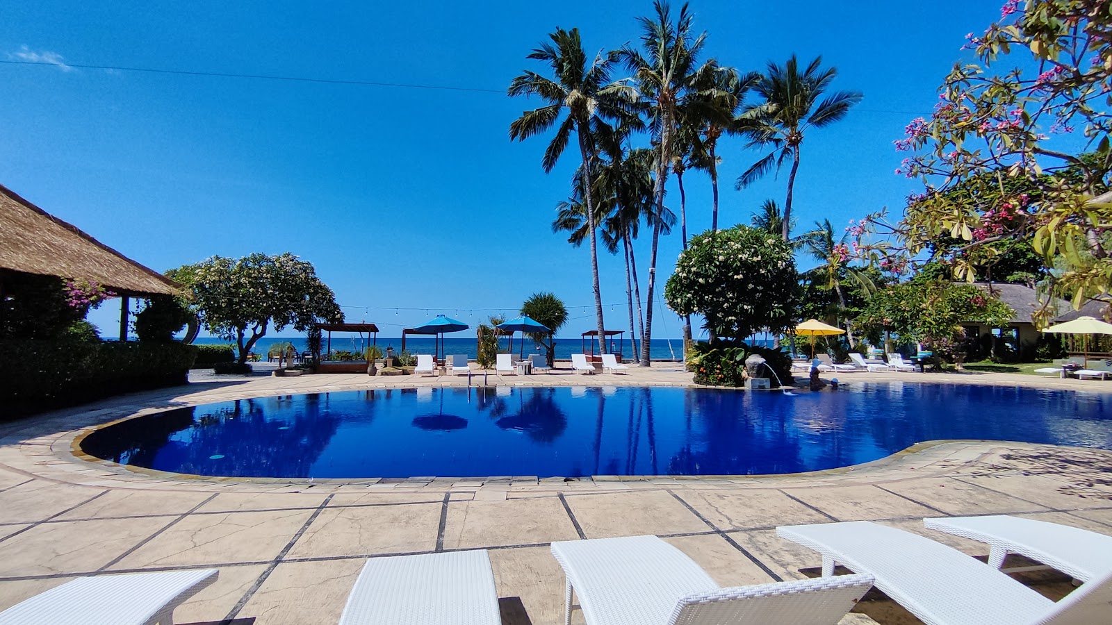 Large beachfront pool lined with palm trees at New Sunari Lovina Beach Resort