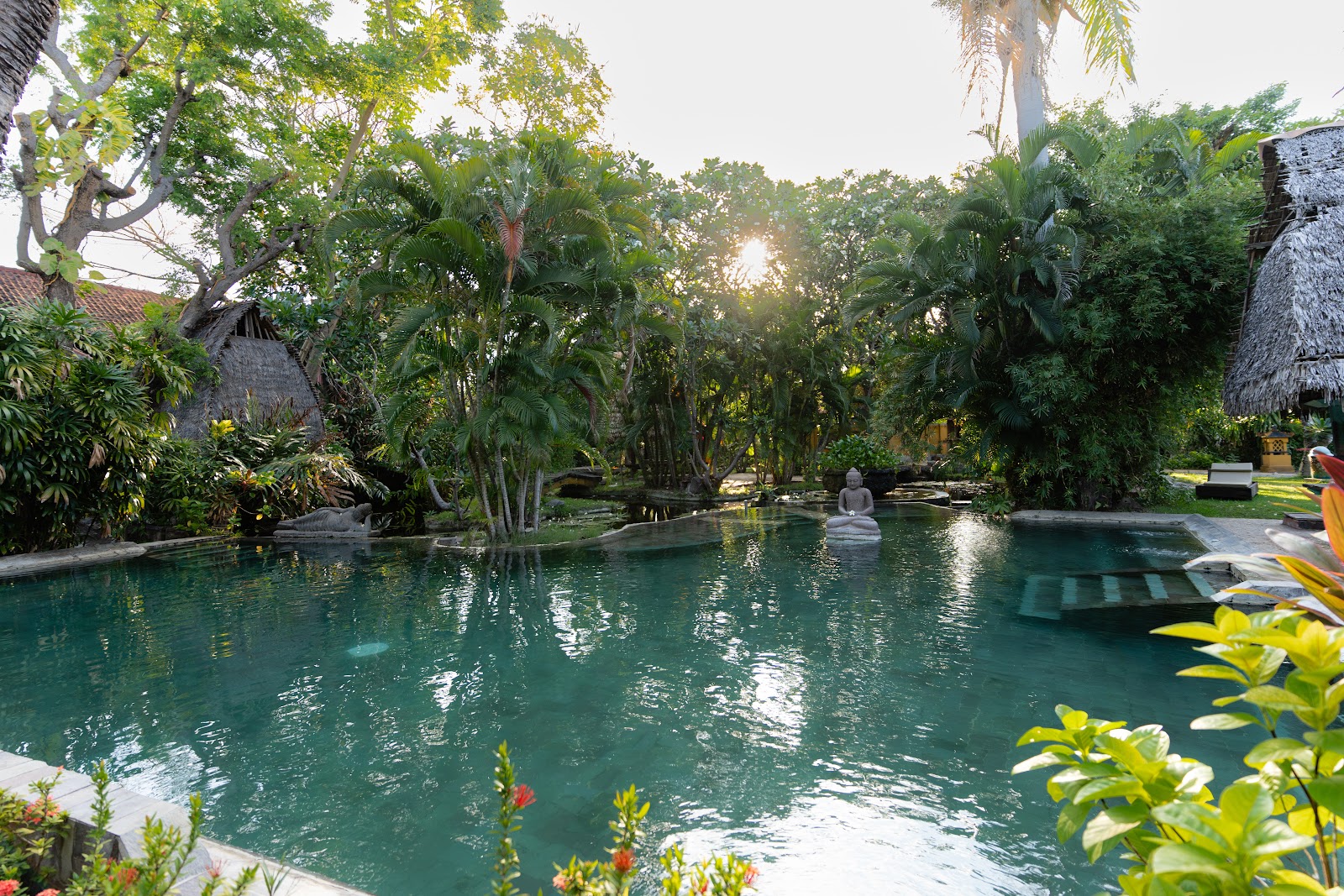 Garden pool shaded by tropical trees in Pemuteran