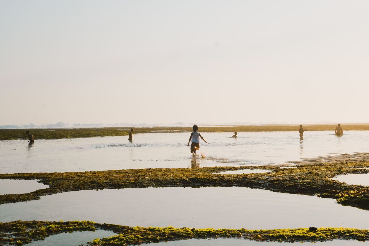 People walking on the reef flats at low tide