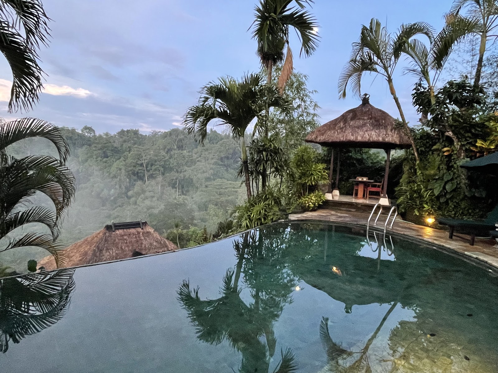 Infinity pool above the Ayung River valley at The Royal Pita Maha