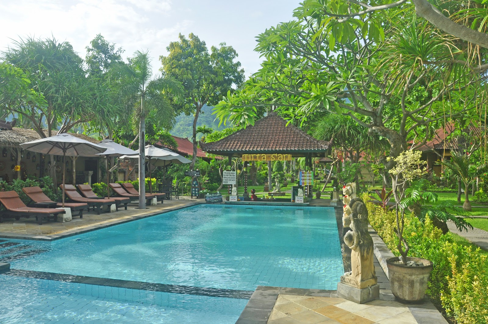 Tropical garden pool framed by palms in Pemuteran